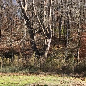 Meet your Posher, Edwin